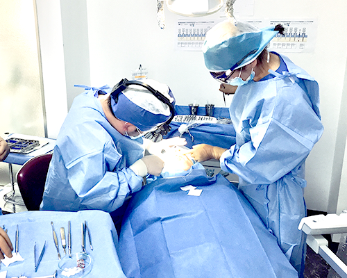 インプラント画像１